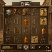 Yonibet - Dead or Alive 2 Slot Game - NetEnt